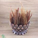 ریشه جینسینگ قرمز کره ای سیدعطار