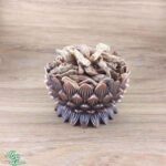 ریشه شقاقل ناب و اعلاء سید عطار