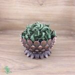 برگ به لیمو سید عطار