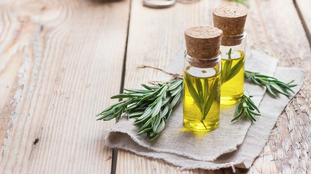 rosemary-oil-benefits-for-skin-and-hair-2