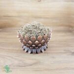 زیره سبز اعلاء و درجه یک سید عطار